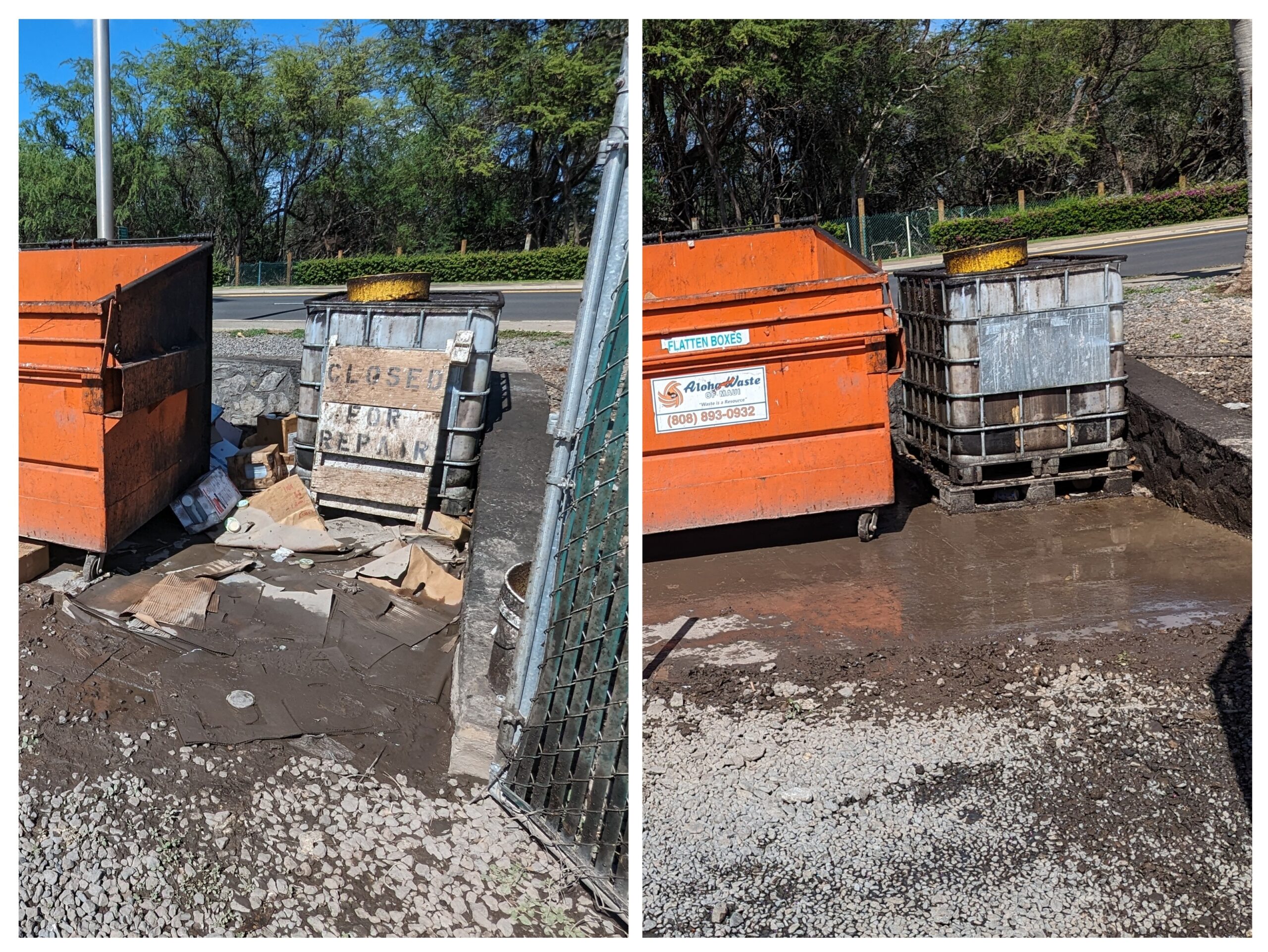 20240117_120112-COLLAGE